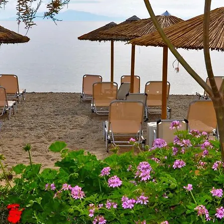 Apartment Tarsanas Luxury Paliouri